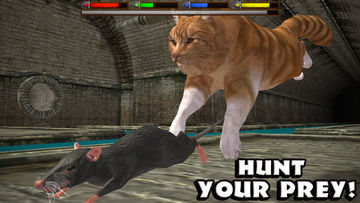 Скриншот игры Ultimate Cat Simulator