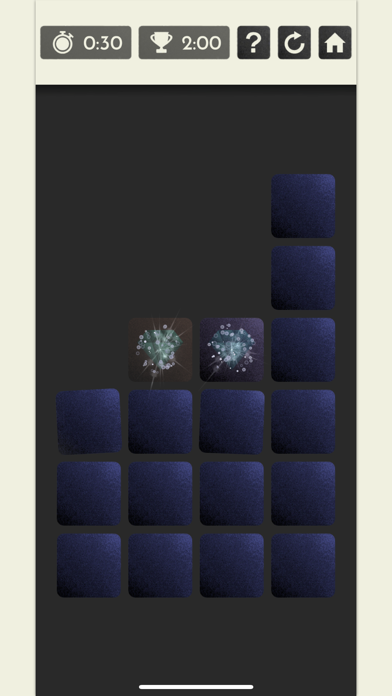 Скриншот игры Mind Twist Memo Puzzle