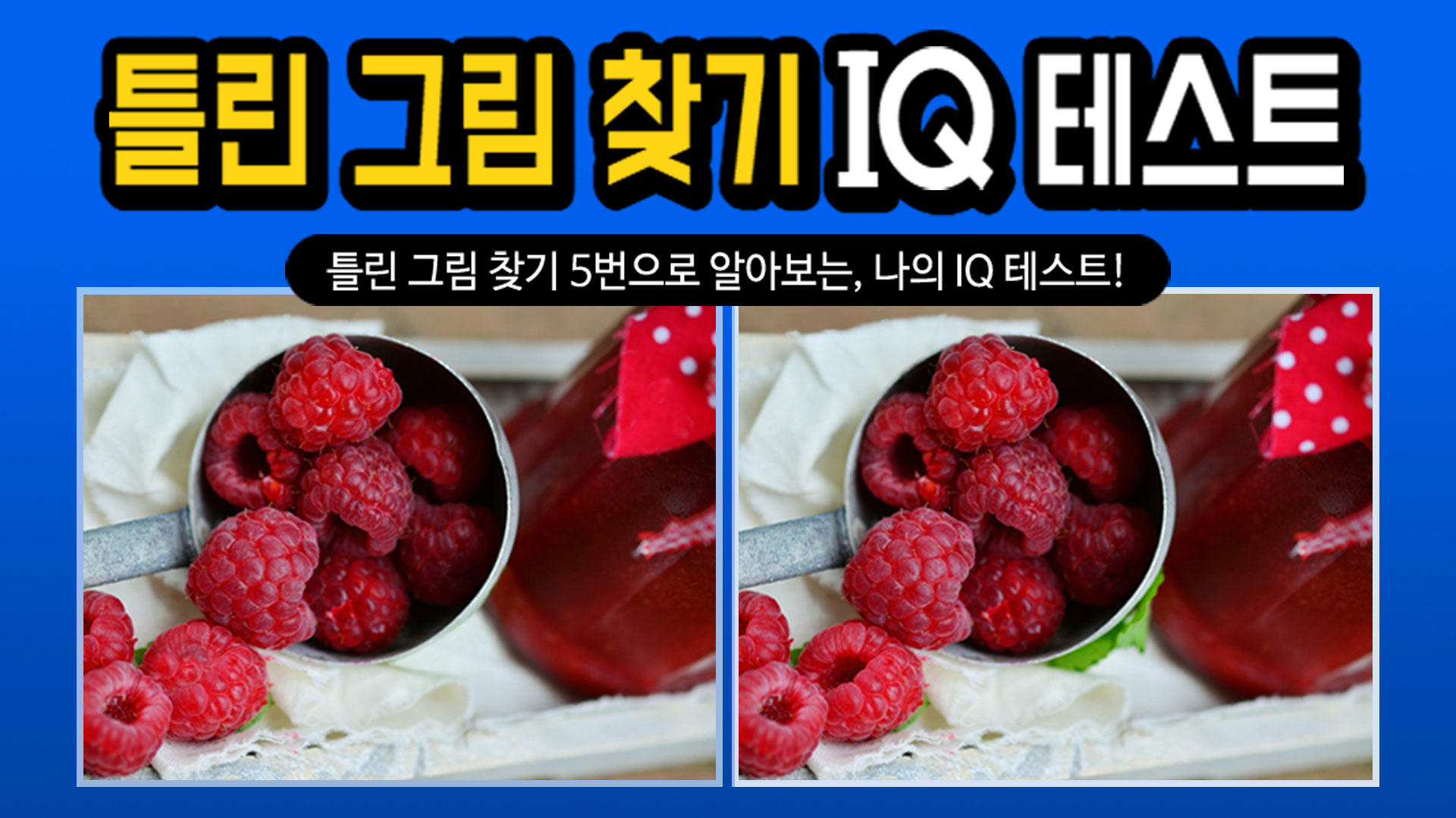 Spot the Differrence - IQ test Game Screenshot