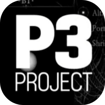 Project P3