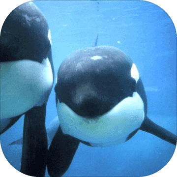 바다이야기§오션파라다이스→［설치안내］