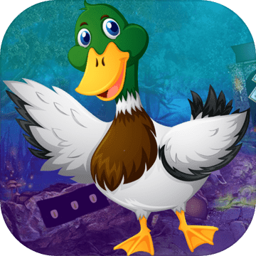 Best Escape Games 112 Mallard Duck Rescue Game