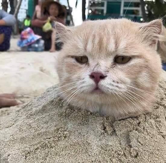 อ้อน ไร้ลาย