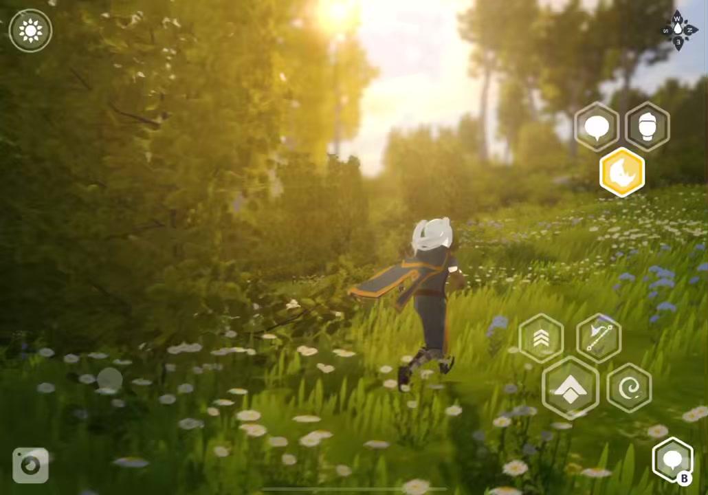 Wilderless | Depth of Field