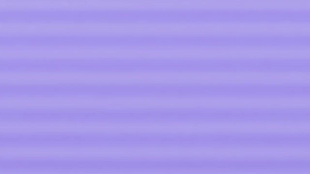 Super Sus - Honey Bee Spotlight