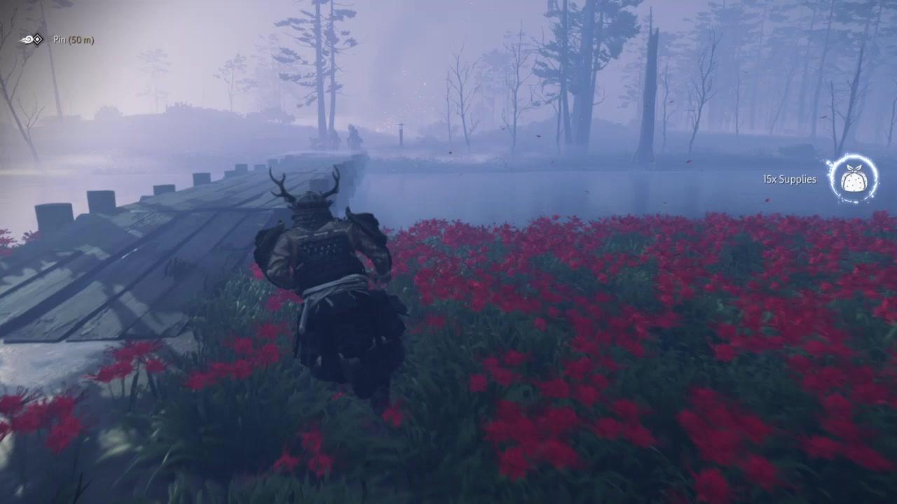 Random encounter (Ghost of Tsushima)
