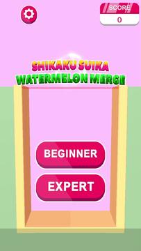 Watermelon 4096: Shikaku Suika