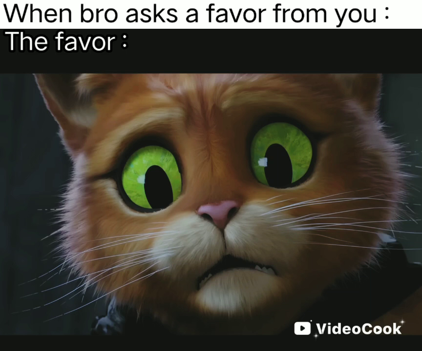 Bro asks this to you... (Meme Of The Day #17) 